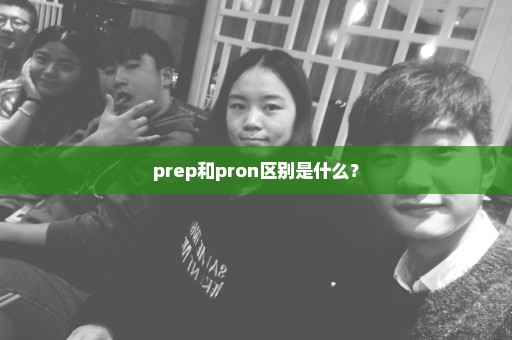 prep和pron区别是什么？