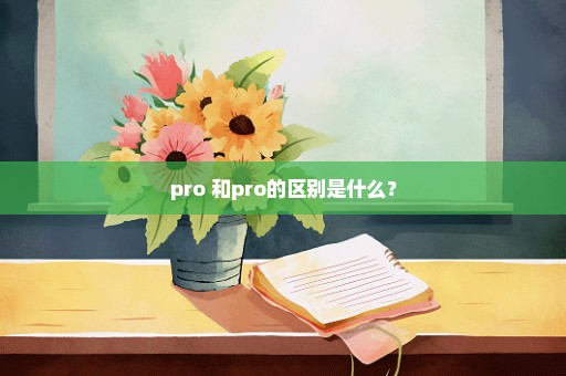 pro+和pro的区别是什么？