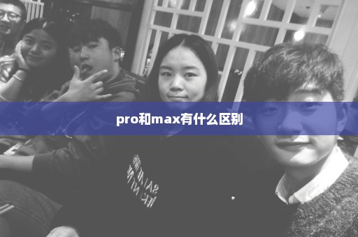 pro和max有什么区别