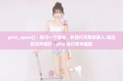 proc_open() - 执行一个命令，并且打开用来输入/输出的文件指针 - php 执行命令函数