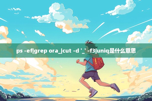 ps -ef|grep ora_|cut -d '_' -f3|uniq是什么意思