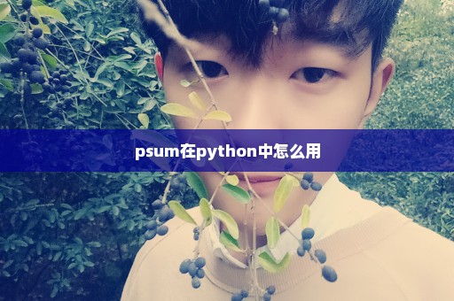 psum在python中怎么用