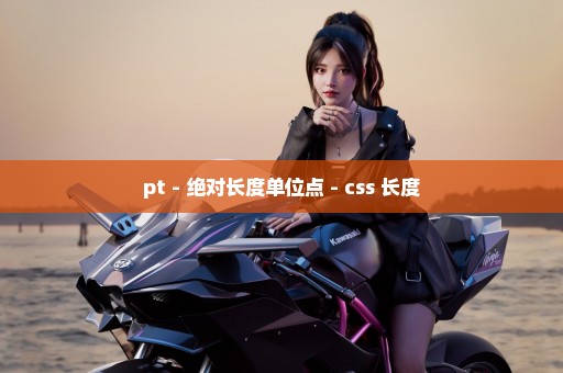 pt - 绝对长度单位点 - css 长度