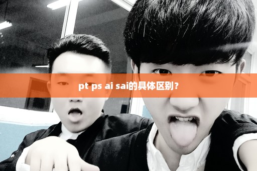 pt ps ai sai的具体区别？