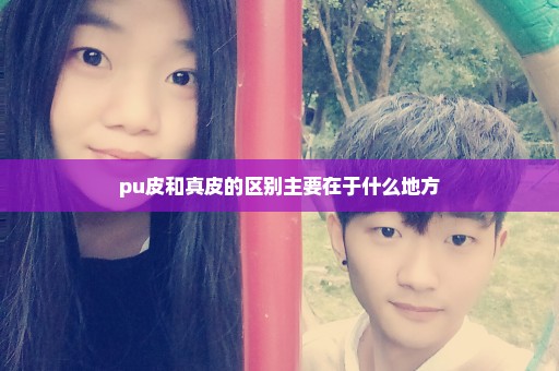 pu皮和真皮的区别主要在于什么地方