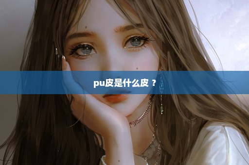pu皮是什么皮 ？