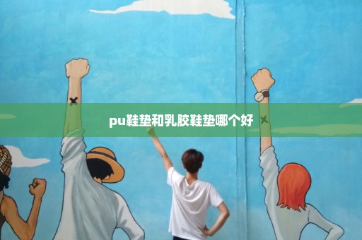 pu鞋垫和乳胶鞋垫哪个好