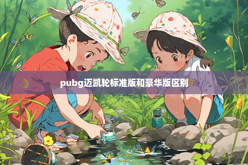pubg迈凯轮标准版和豪华版区别
