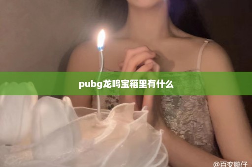 pubg龙鸣宝箱里有什么