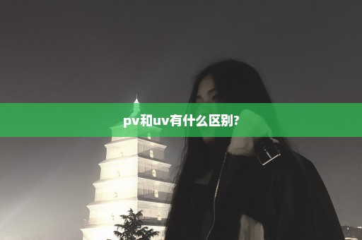 pv和uv有什么区别?