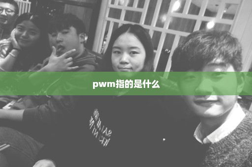 pwm指的是什么