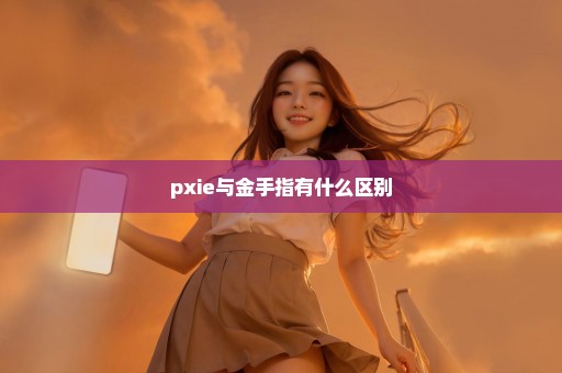 pxie与金手指有什么区别