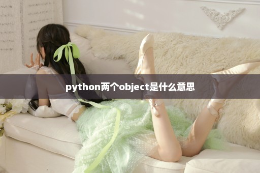 python两个object是什么意思