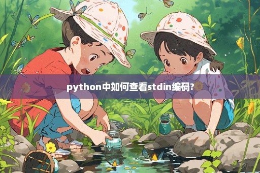 python中如何查看stdin编码?