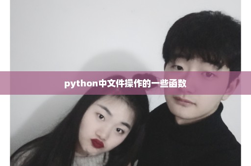 python中文件操作的一些函数