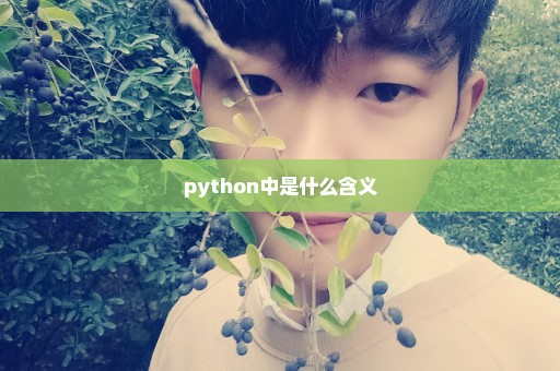 python中是什么含义
