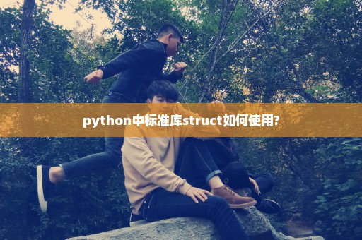 python中标准库struct如何使用?