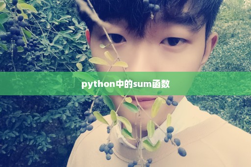python中的sum函数