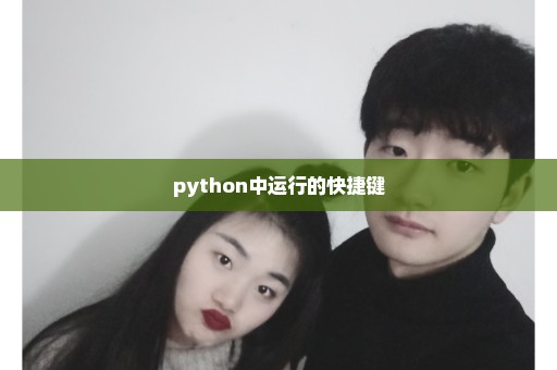 python中运行的快捷键