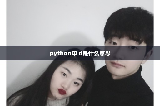 python中 d是什么意思