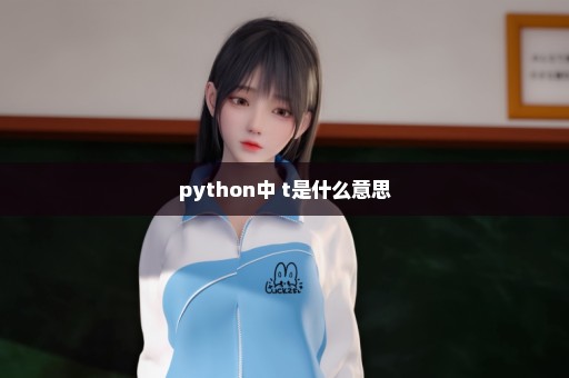 python中 t是什么意思