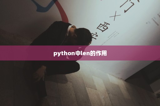python中len的作用