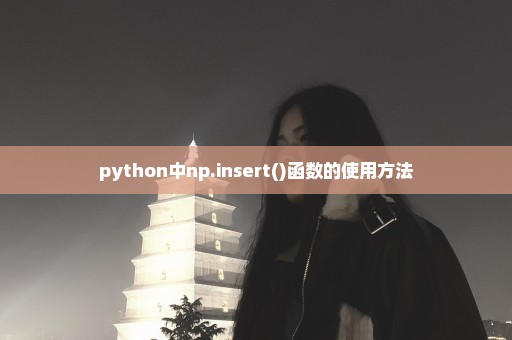 python中np.insert()函数的使用方法