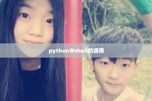 python中shell的调用