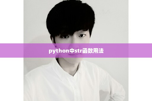 python中str函数用法
