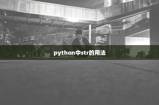 python中str的用法