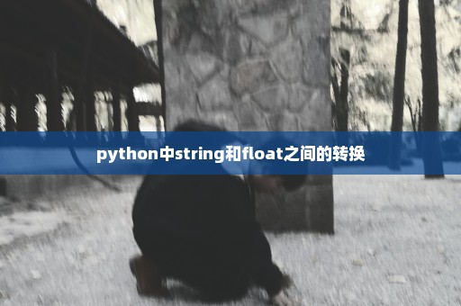 python中string和float之间的转换