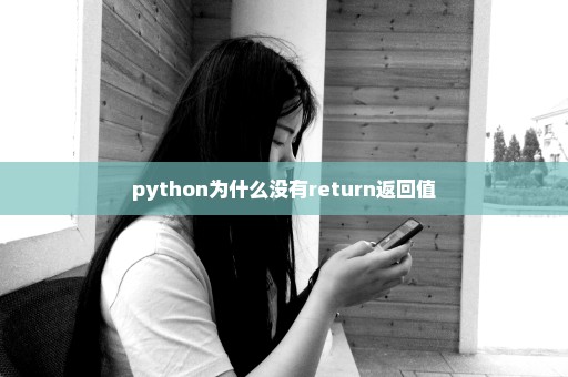 python为什么没有return返回值