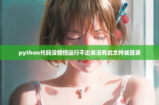 python代码没错但运行不出来没有此文件或目录