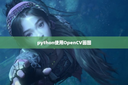python使用OpenCV画图