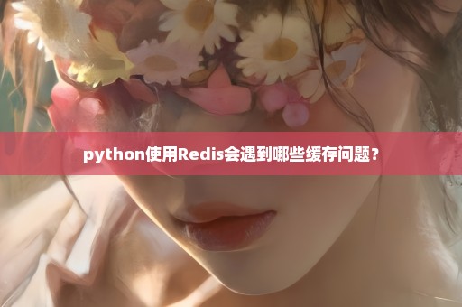 python使用Redis会遇到哪些缓存问题？