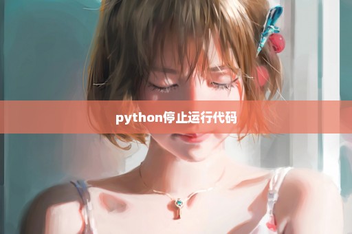 python停止运行代码
