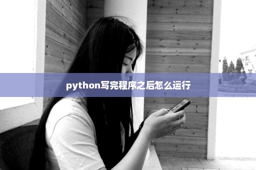 python写完程序之后怎么运行