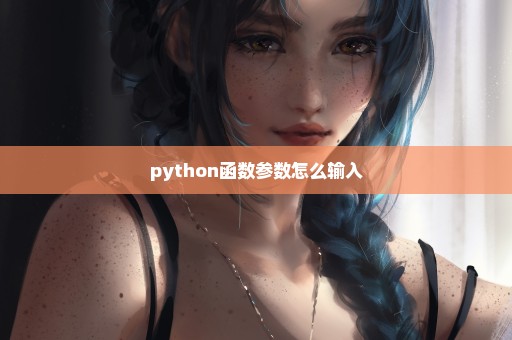 python函数参数怎么输入