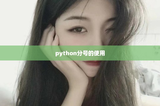 python分号的使用