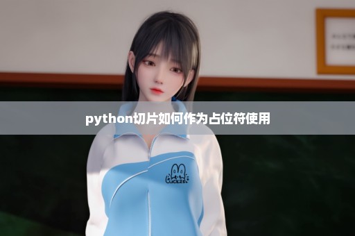 python切片如何作为占位符使用