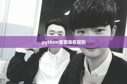 python变量命名规则