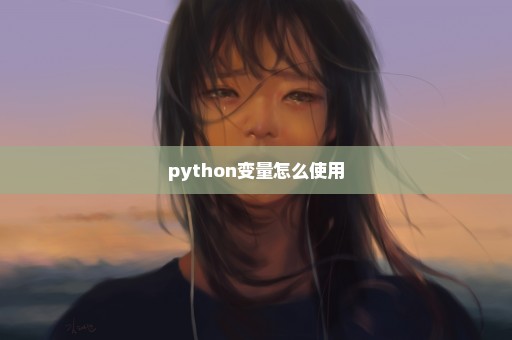 python变量怎么使用