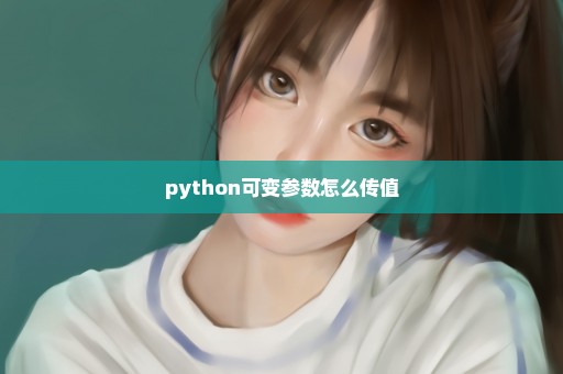 python可变参数怎么传值