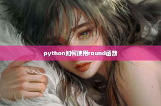 python如何使用round函数