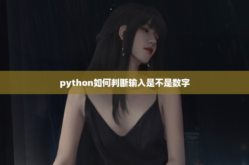 python如何判断输入是不是数字