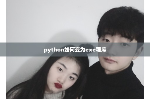 python如何变为exe程序
