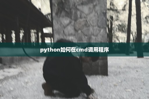 python如何在cmd调用程序