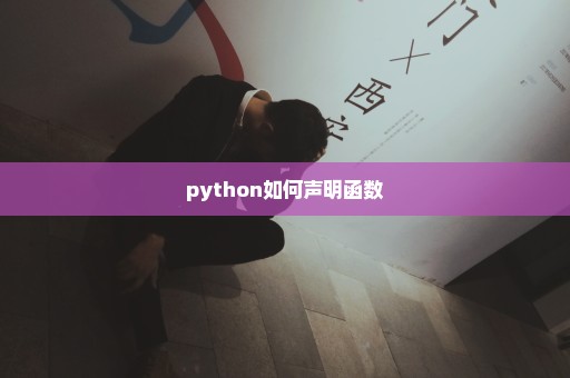 python如何声明函数