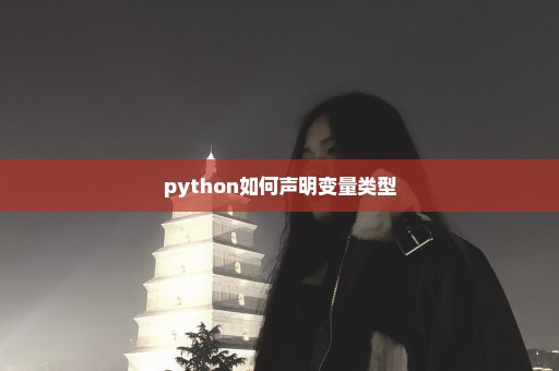 python如何声明变量类型