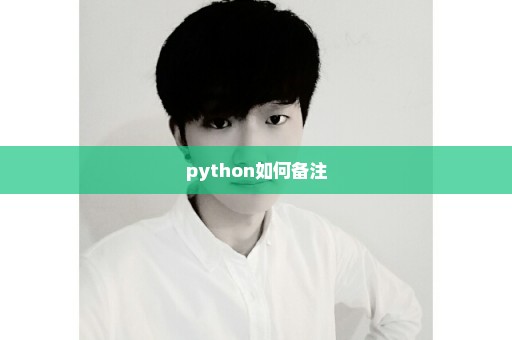 python如何备注